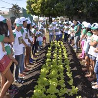 IFMT assina termo de cooperação técnica com a Prefeitura de Cuiabá para capacitação de agricultores familiares 