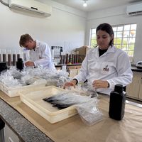 Solo Vivo laboratórios