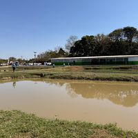 Parceria entre IFMT e Mapa impulsiona cadeia da piscicultura na Baixada Cuiabana