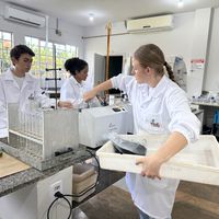 Solo Vivo laboratórios